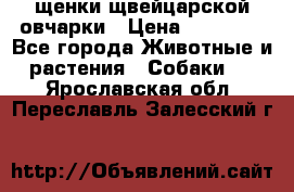 щенки щвейцарской овчарки › Цена ­ 15 000 - Все города Животные и растения » Собаки   . Ярославская обл.,Переславль-Залесский г.
